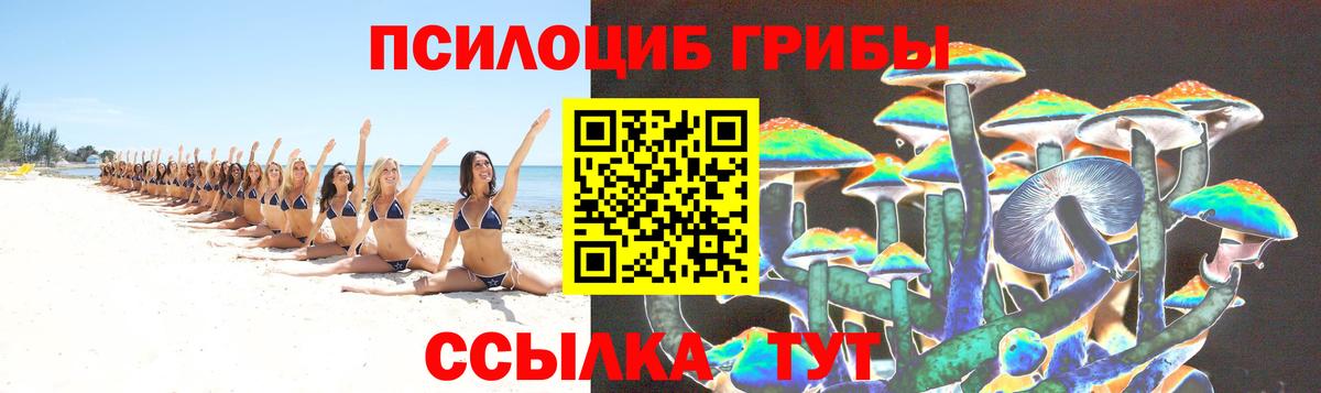 Мыски  где купить наркоту  Вход с VPN  Галлюциногенные грибы Psilocybine cubensis 
