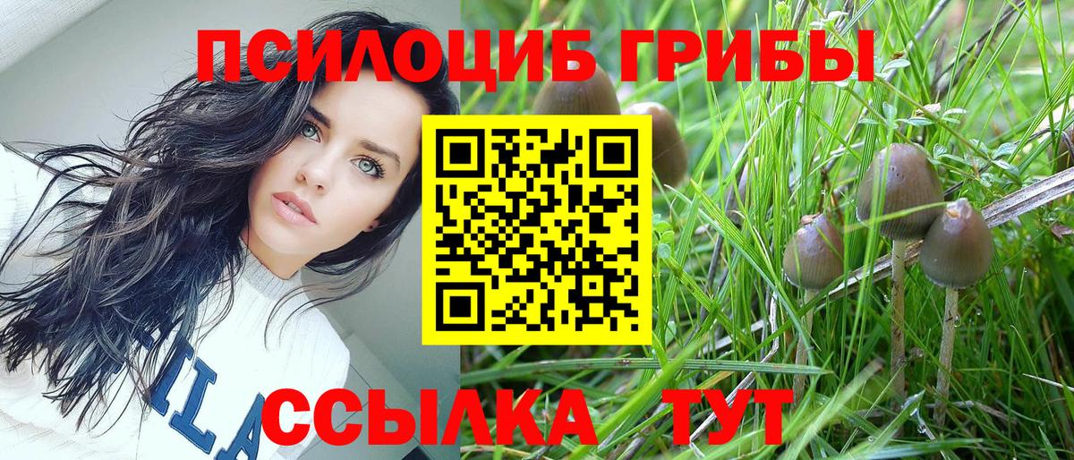 Псилоцибиновые грибы Psilocybe Мыски